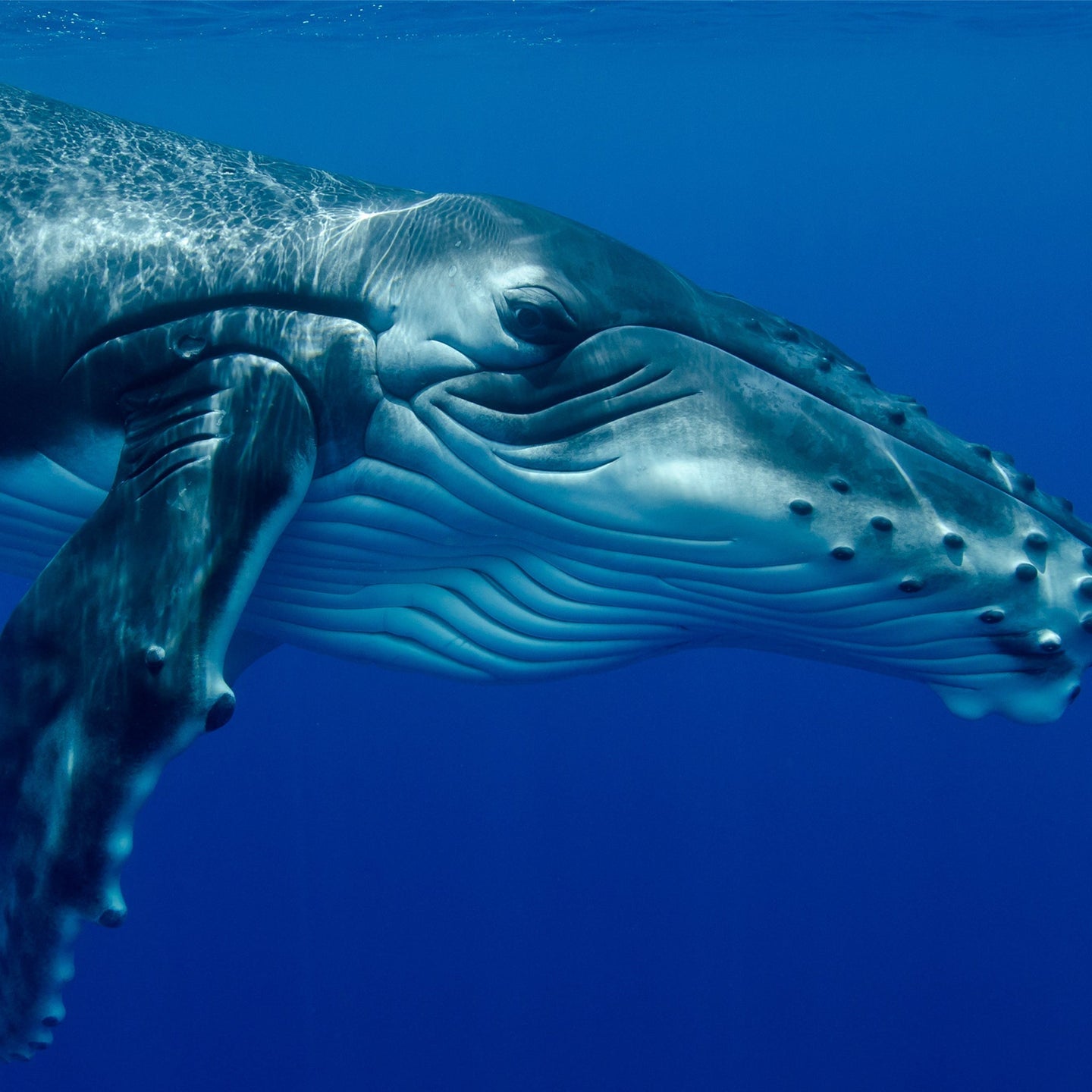 The Natural World. As it appears through the lens of Kevin Deacon