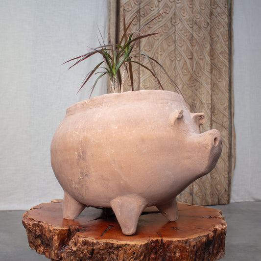 Piggy Planter. Vintage Terracotta Pot.