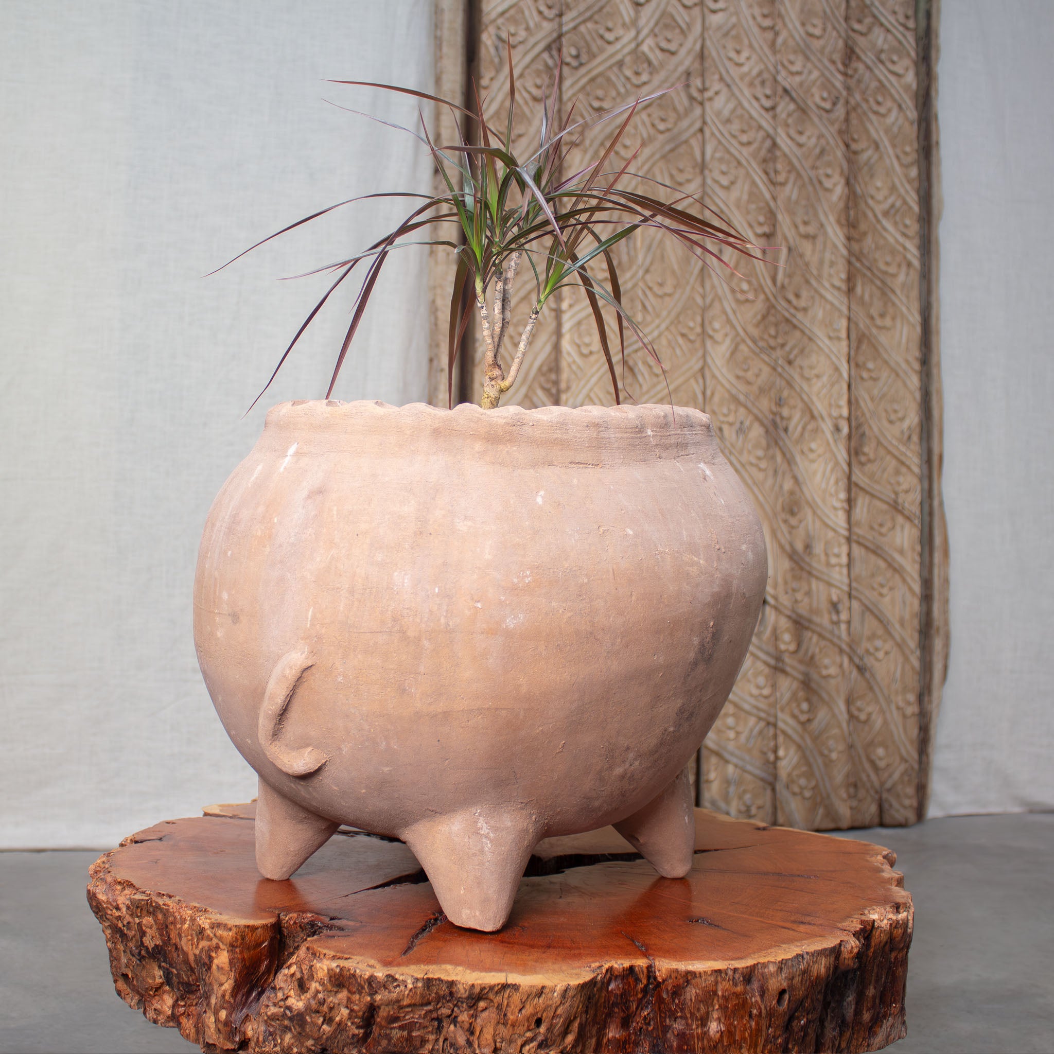 rustic terracotta plant pots Piggy Planter. Vintage Terracotta Pot