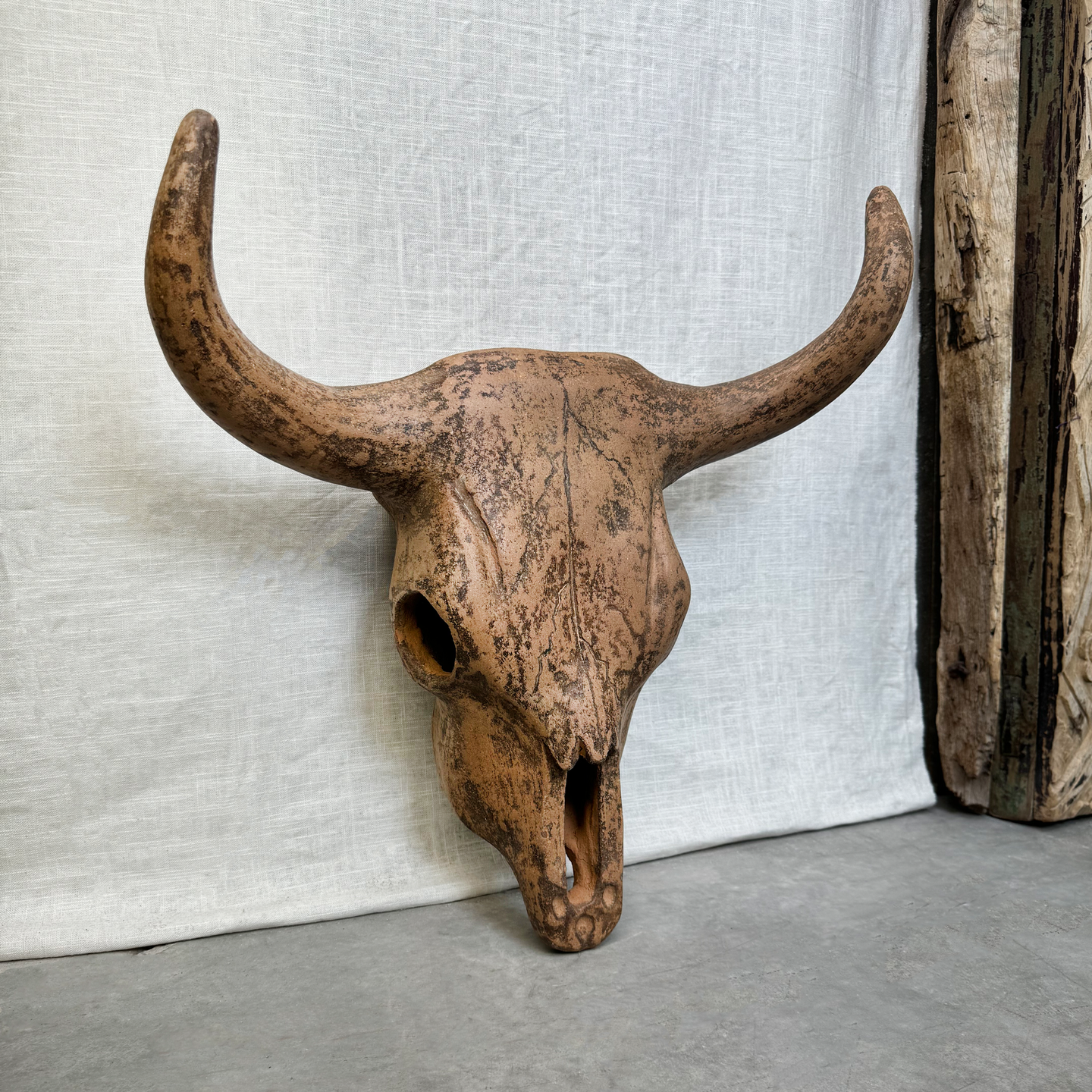 Terracotta Longhorn, Sculptural Wall Art. Taupe