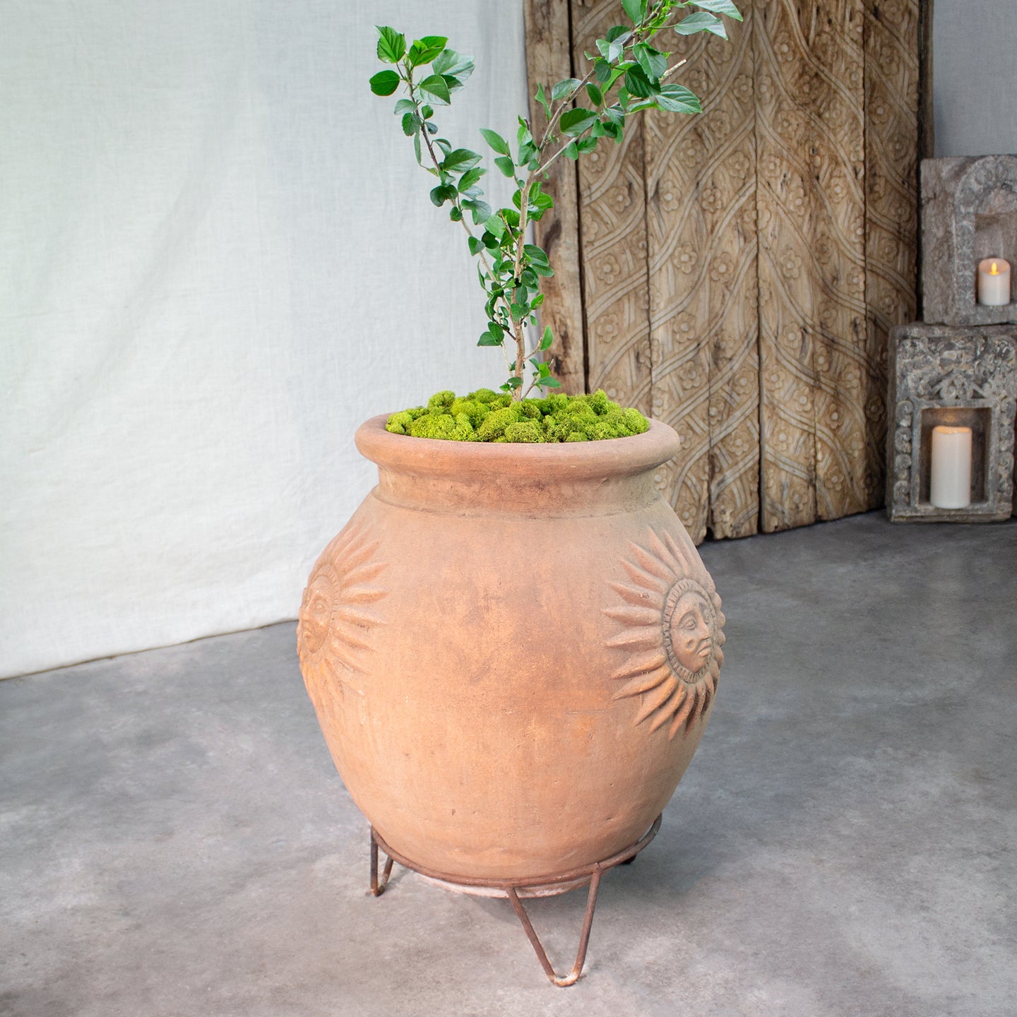 vintage pots for plants Sol Planter with Iron Stand. Vintage Terracotta pot