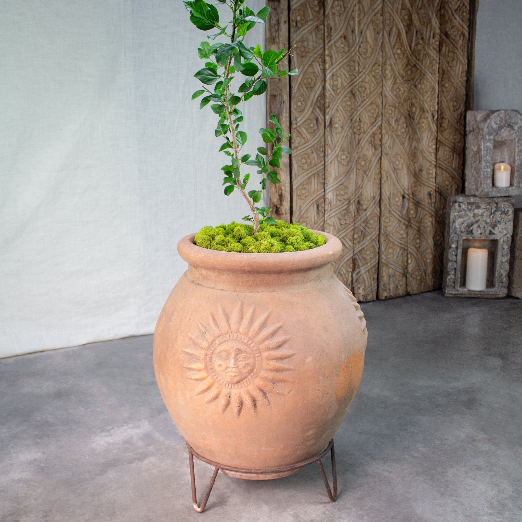 plants with pots for sale Sol Planter with Iron Stand. Vintage Terracotta pot