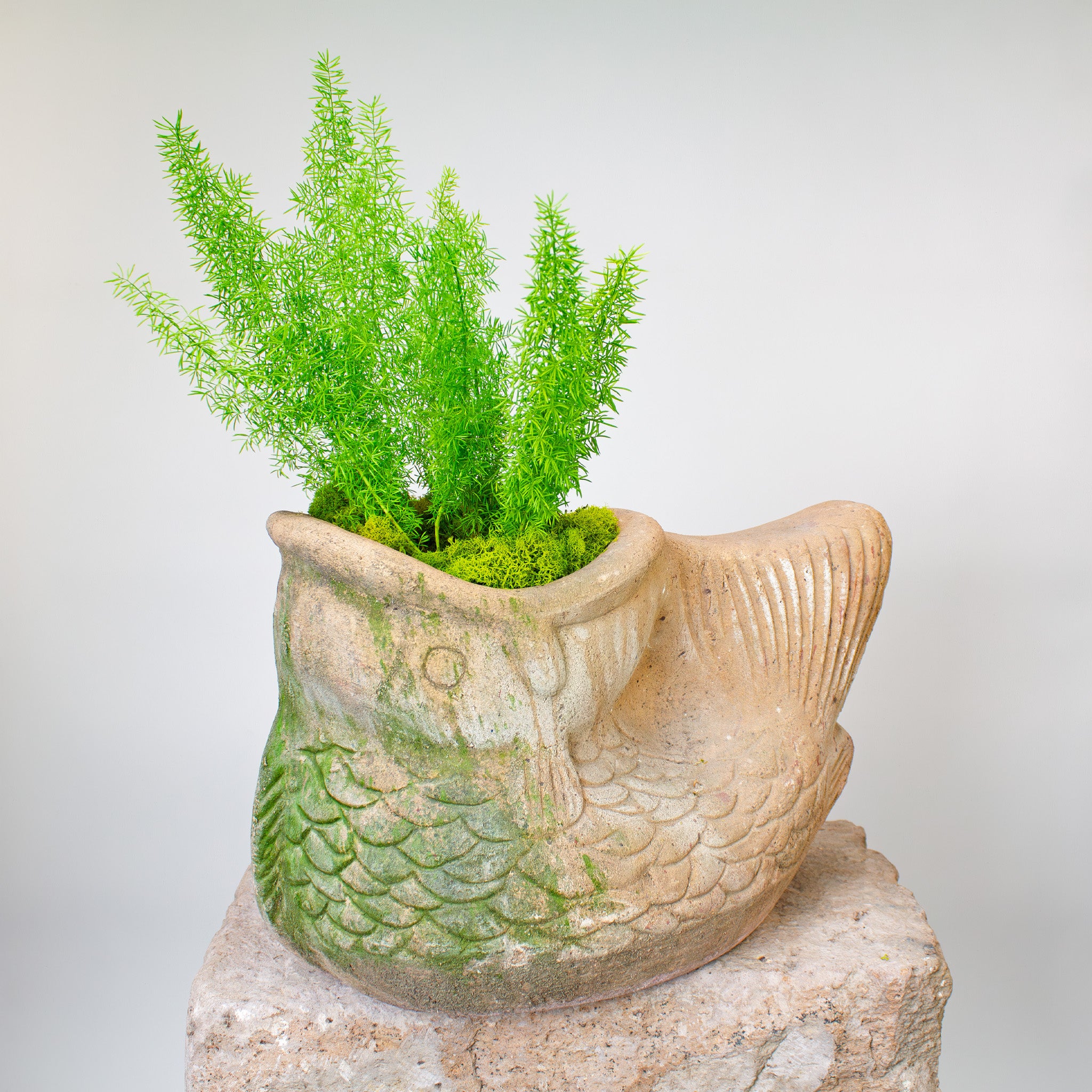 koi pond plant pots Koi Fish Planter, Vintage Terracotta Pot