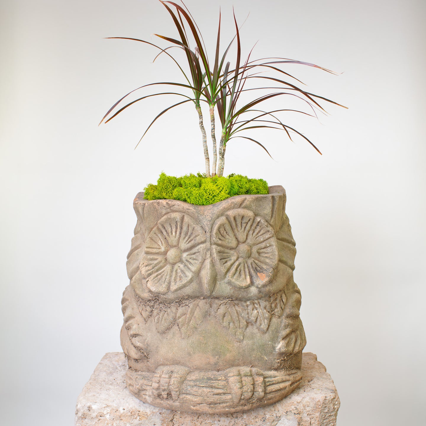 pot plant owl Búho Pot. Vintage Terracotta Sculptural Planter