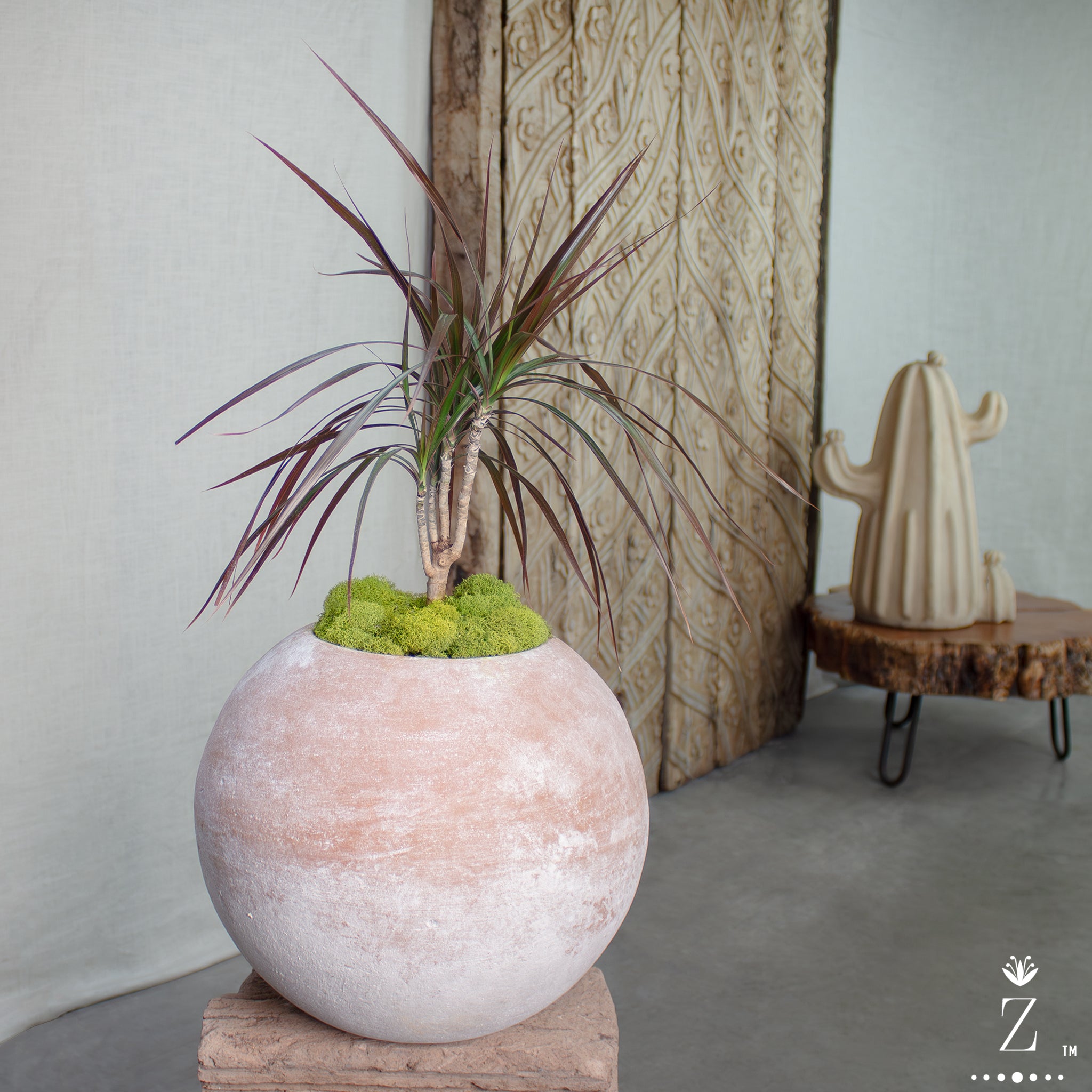 plant pot anthropologie Horizon Planter. Vintage Terracotta pot