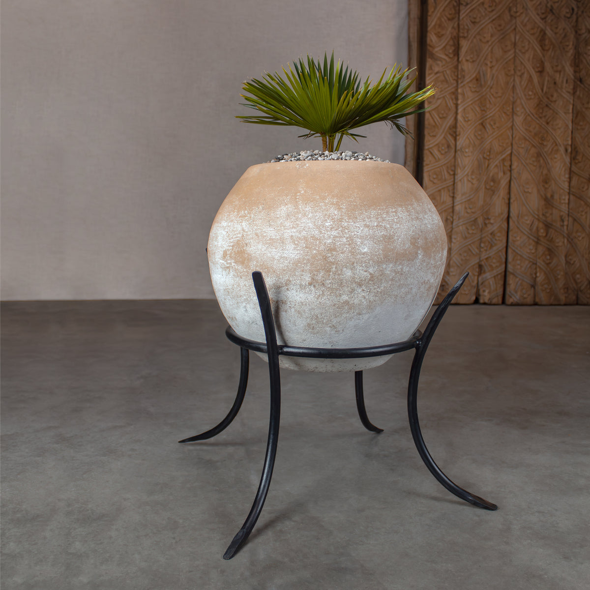 A large sphere shaped terracotta pot with a green palm tree  planted within. Pot has a distressed beige and white textured finish, displayed on a black metal stand with curved legs on concrete floor in front of carved wood door.