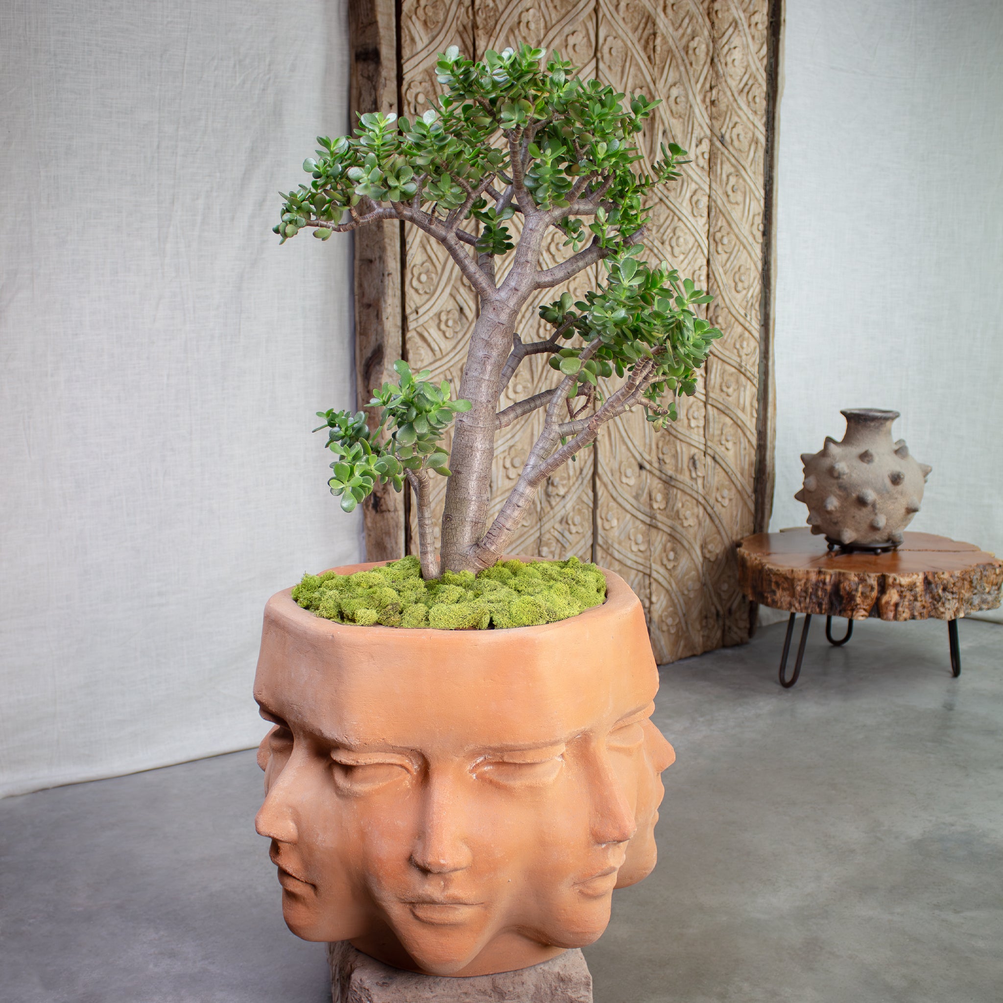 large china plant pots Prometheus Planter. Vintage Terracotta Large Pot