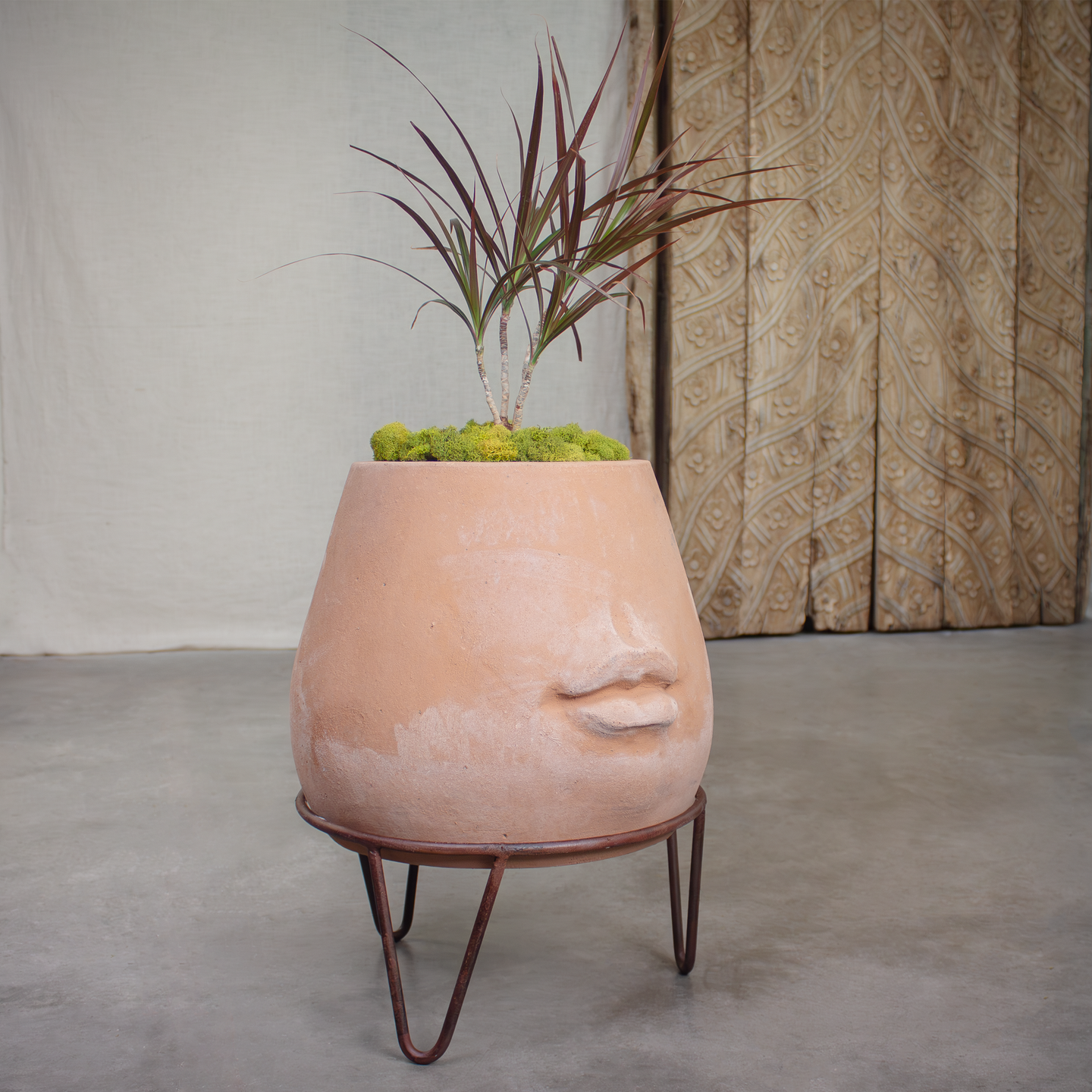 Terracotta face pot, planter with pot stand.