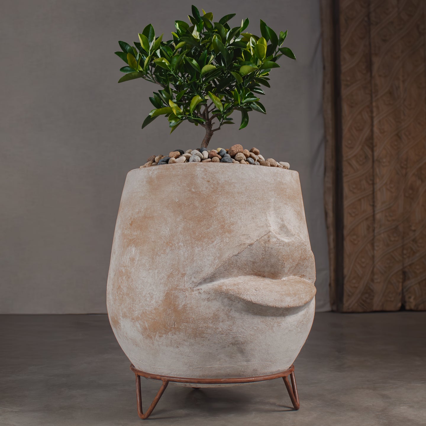 Sculptural clay planter shaped like a stylized face, made of textured terracotta in beige and brown tones, with a two foot tall citrus tree. Terracotta pot is on a rustic iron pot stand with tripod hairpin legs in front of a carved wood barn door.