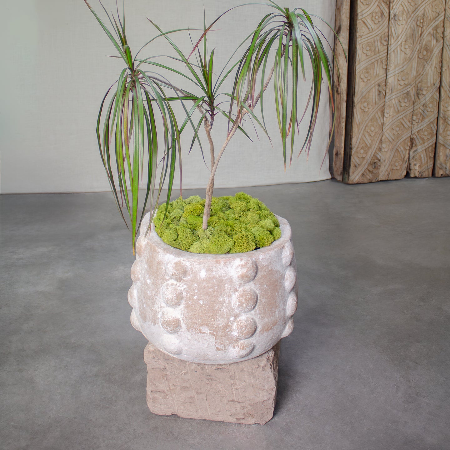 Node Planter, Terracotta pot, Short. Malto Finish