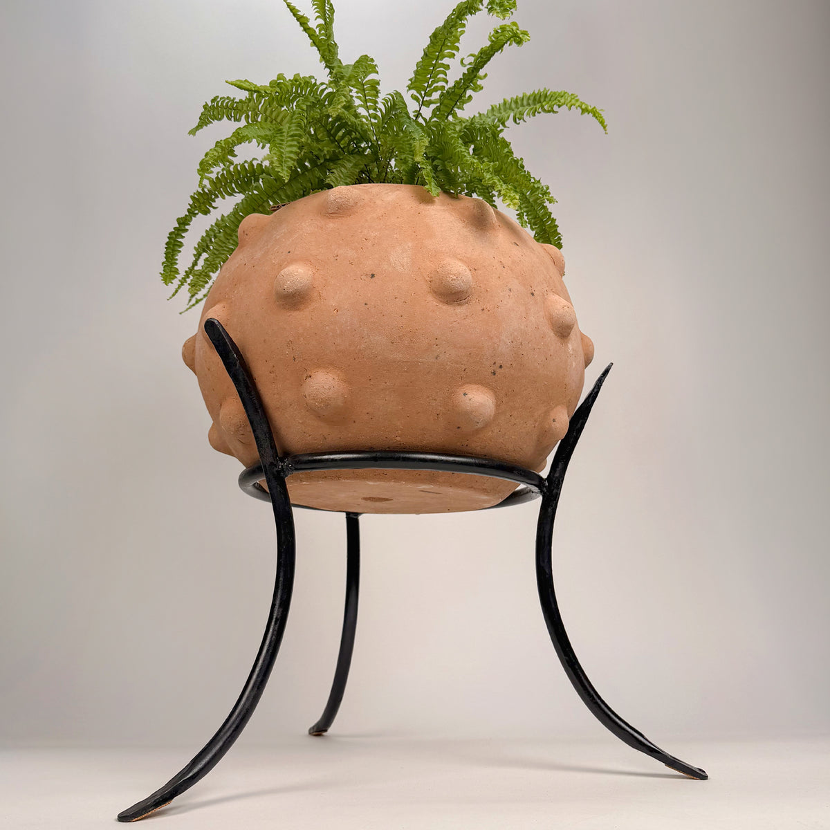 Node Crescent Planter, Terracotta pot.