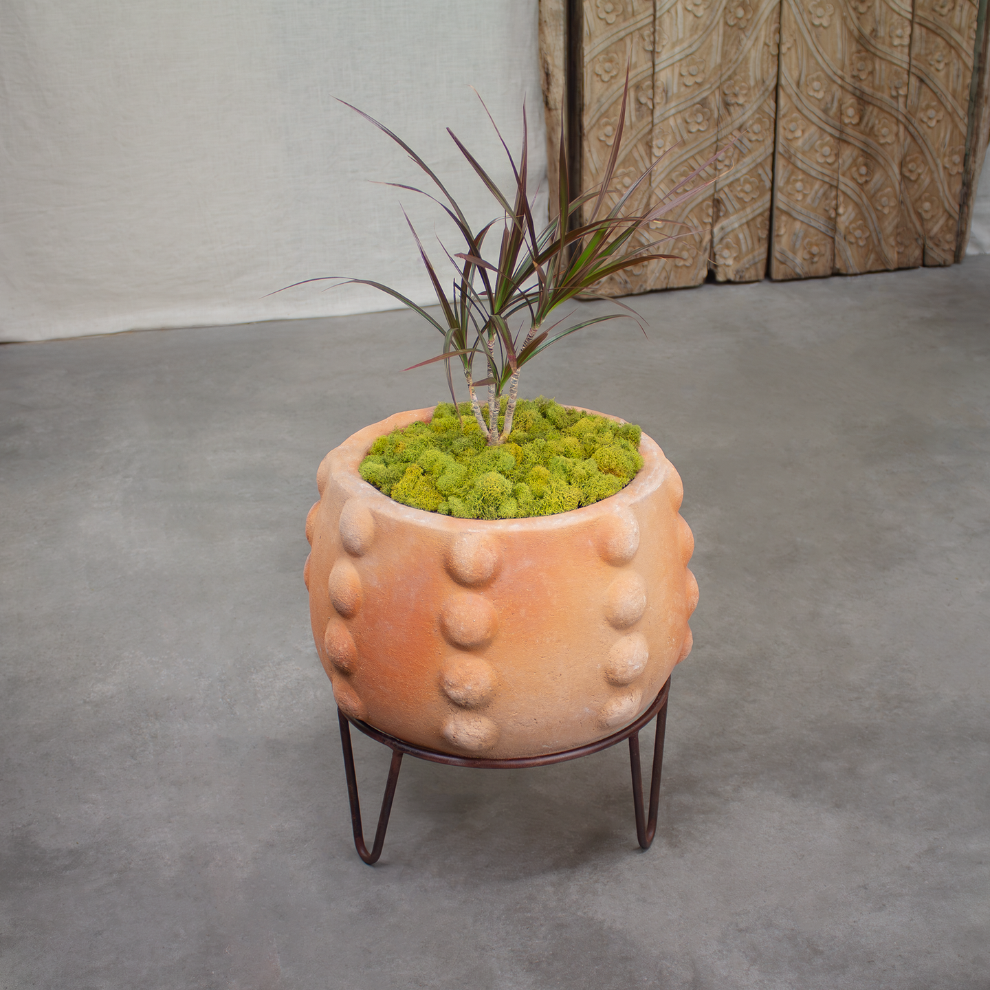 Node Planter, Short Terracotta pot with stand.