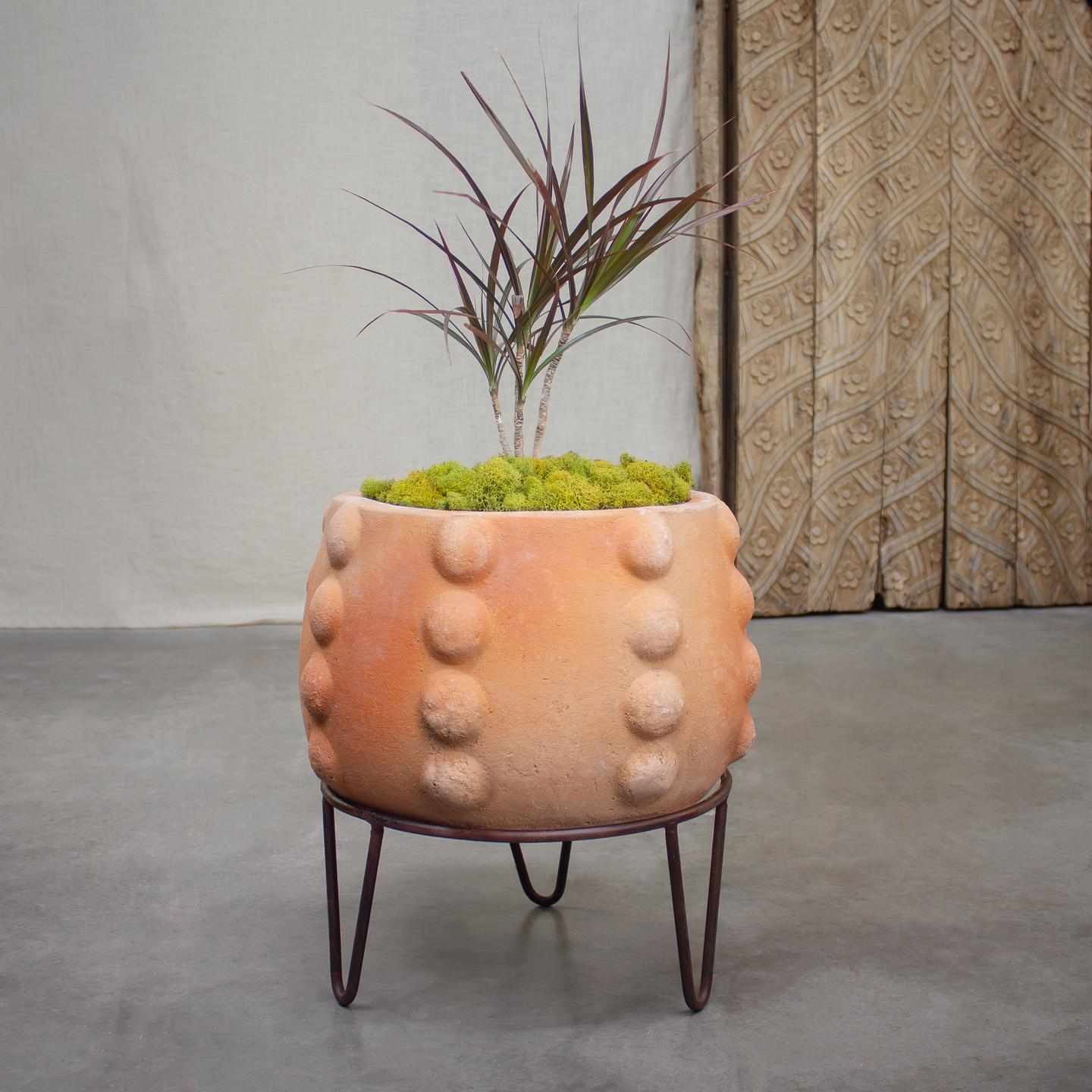 Node Planter, Short Terracotta pot with stand.