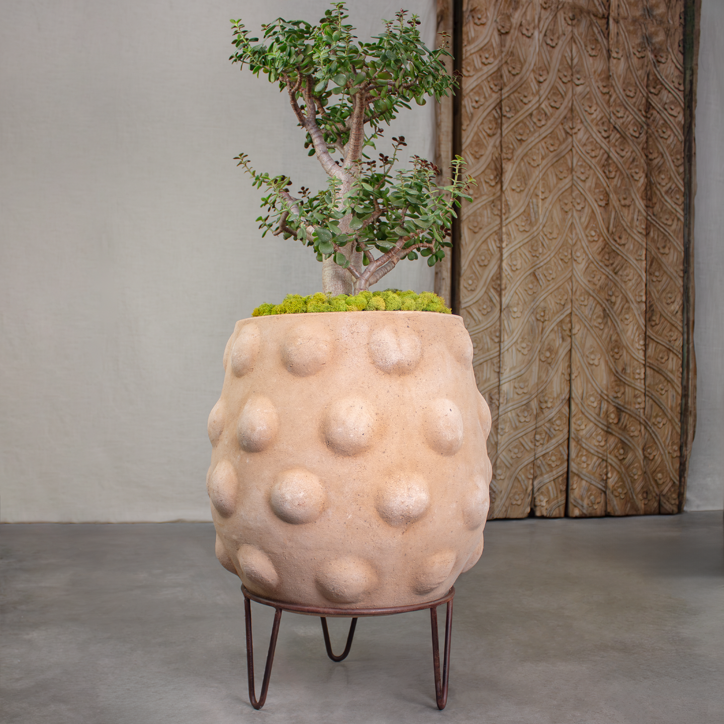 Node Planter, Large Terracotta Pot with Iron Stand.