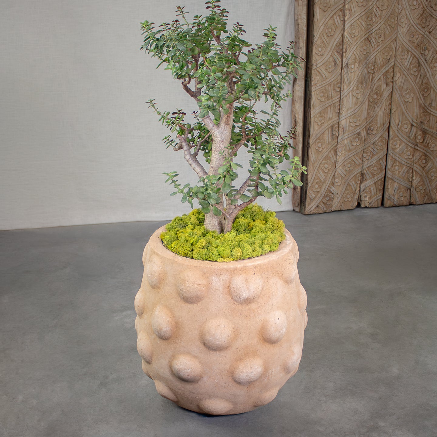 Node Planter, Large Terracotta Pot. Natural