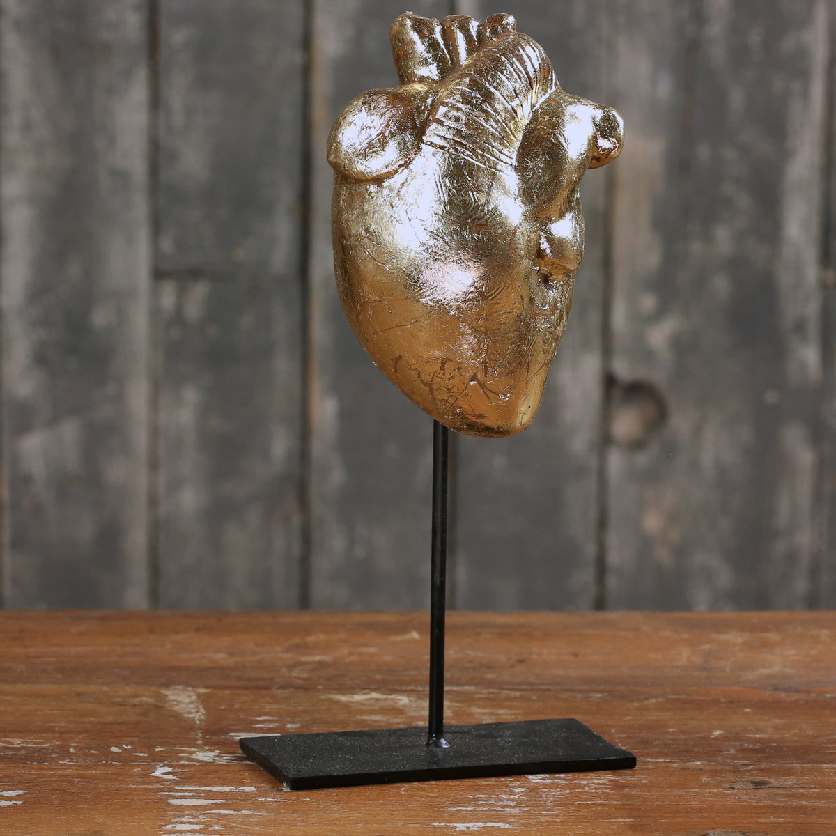 Anatomical Devotion Heart