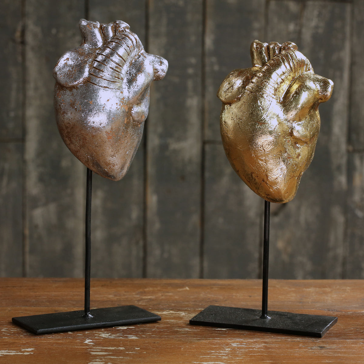 Anatomical Devotion Heart