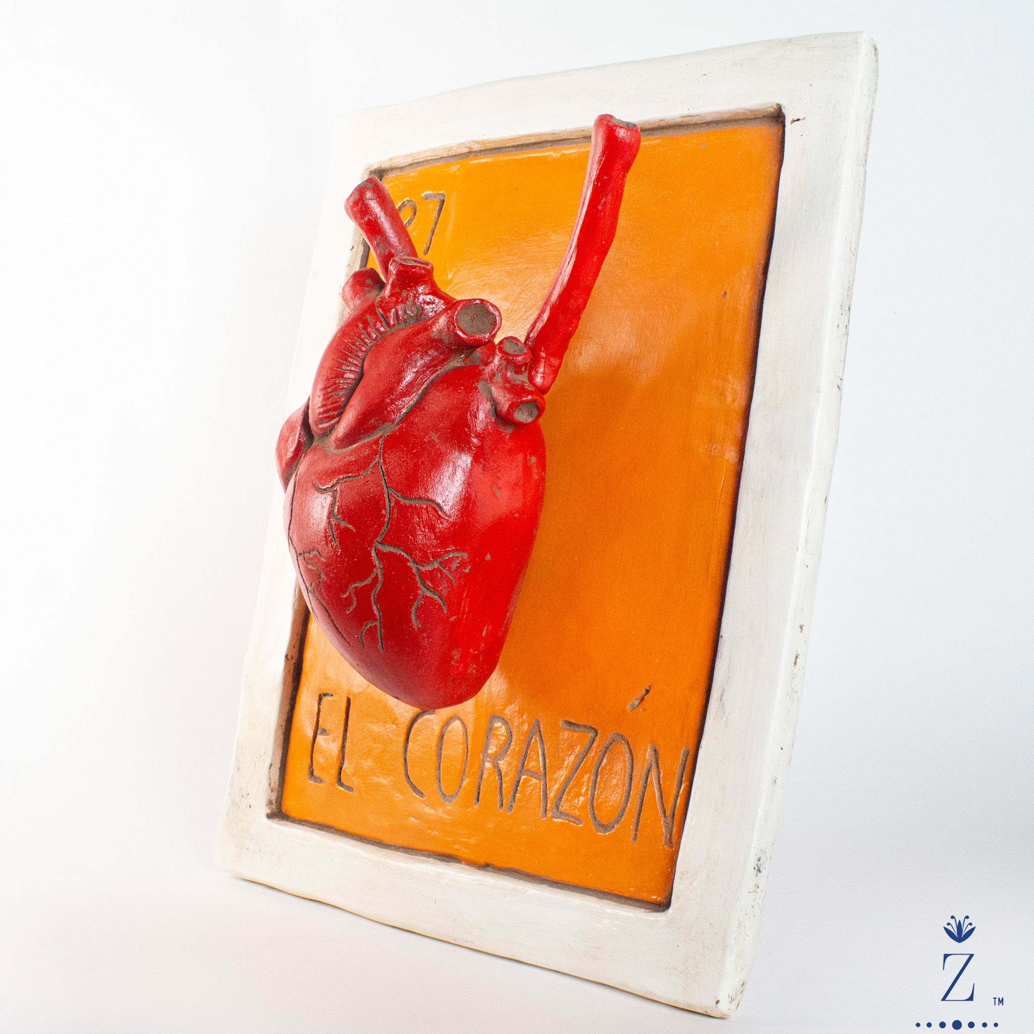 Anatomical Hearts - Zenwaro