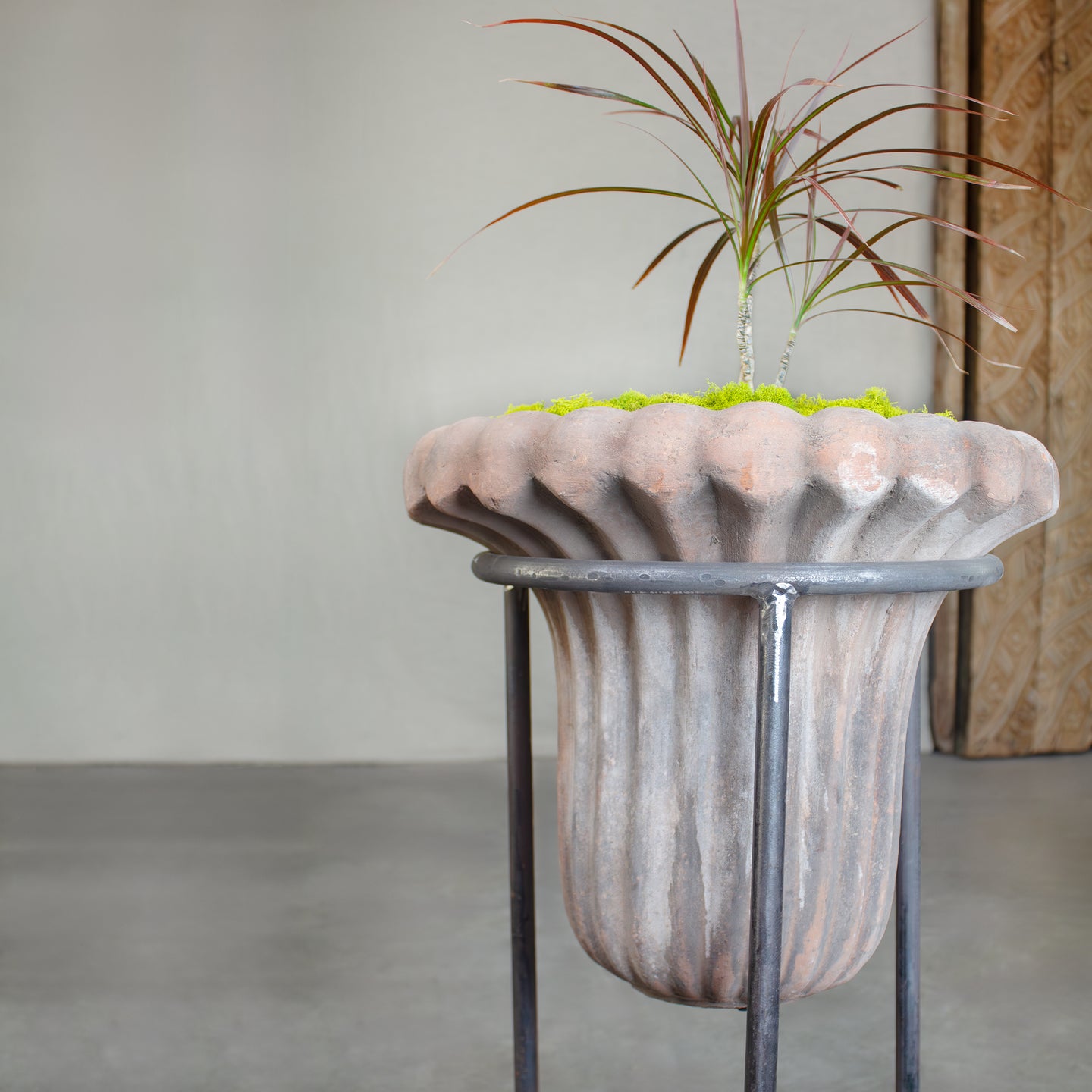 tiger lily potted plant Tiger Lily Planter with Footed Stand. Vintage Terracotta pot