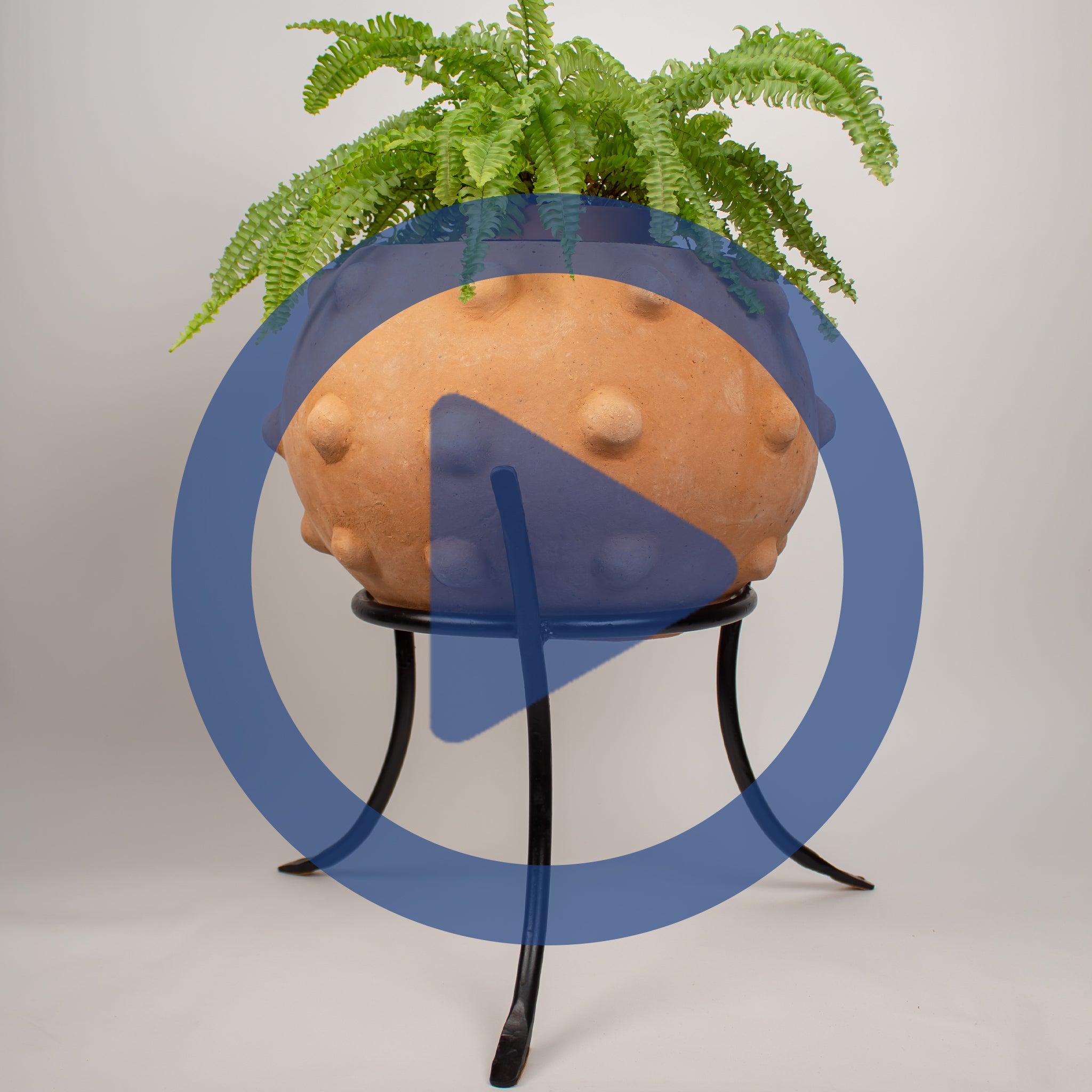 Iron pot stand and terracotta pot.