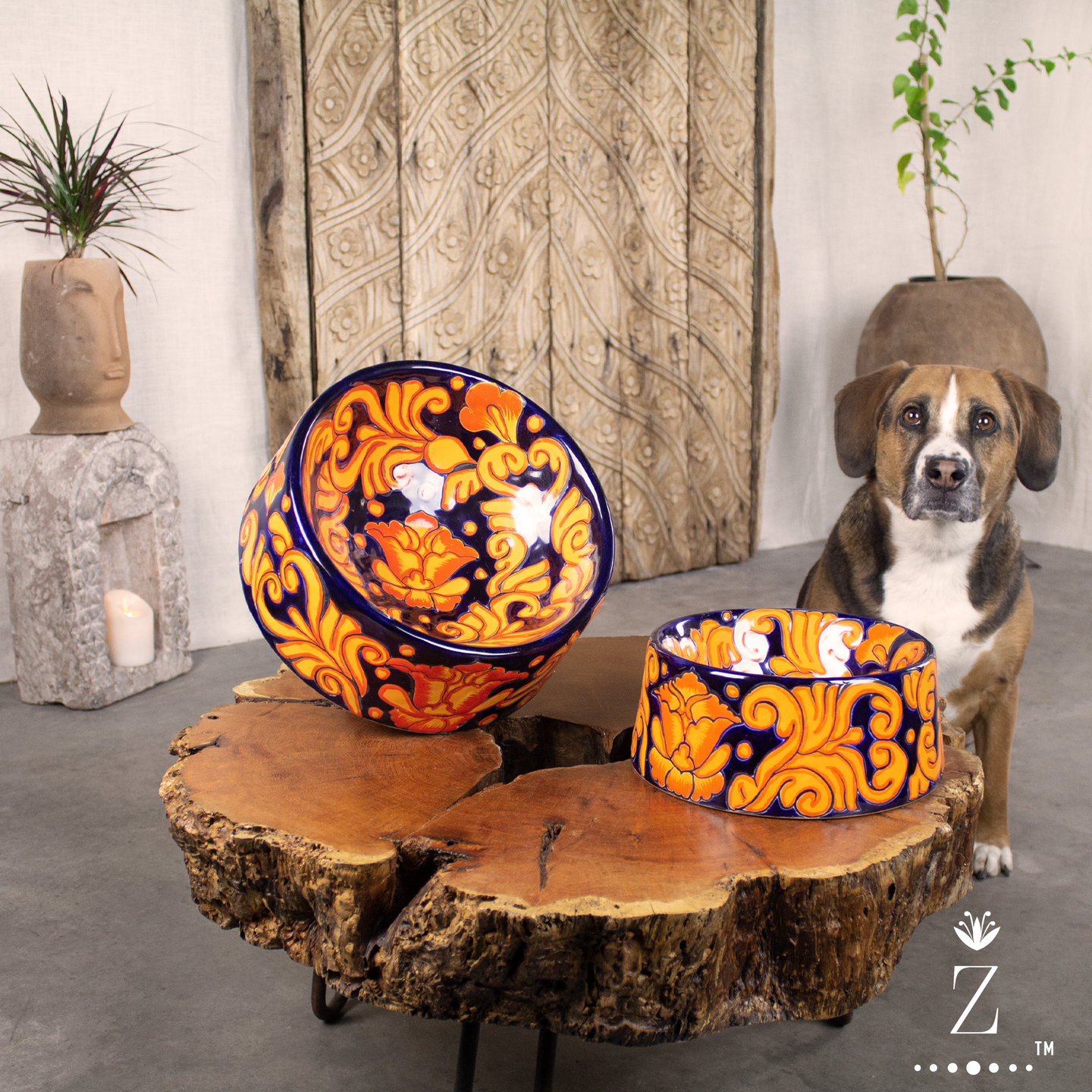 Talavera Pet Bowl | Sol Pattern