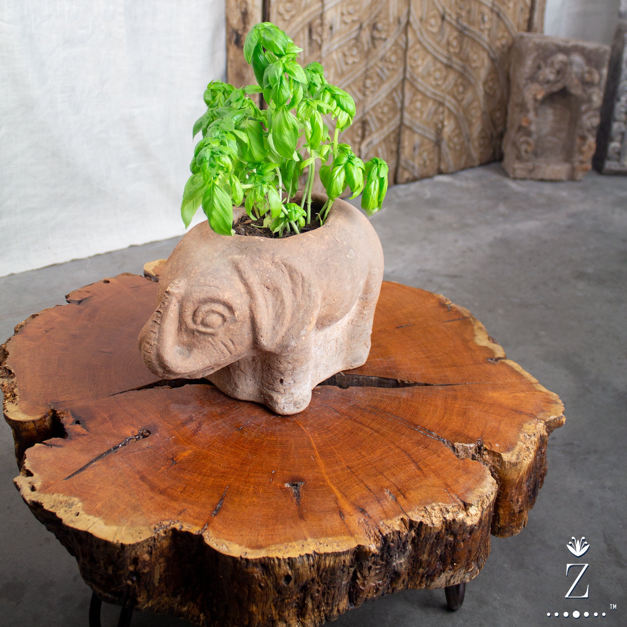 Elephant Planter, Vintage Terracotta Pot - Zenwaro