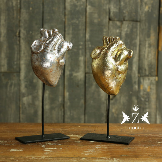 Anatomical Hearts