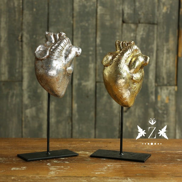 Anatomical Hearts - Zenwaro
